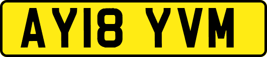 AY18YVM