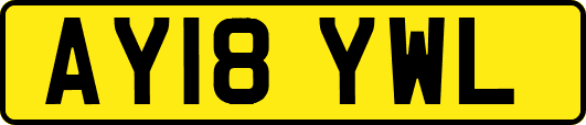 AY18YWL