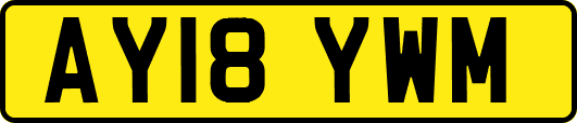 AY18YWM