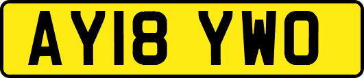 AY18YWO