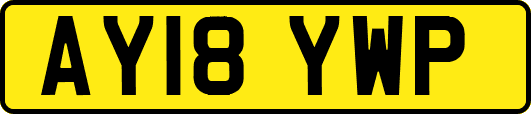 AY18YWP
