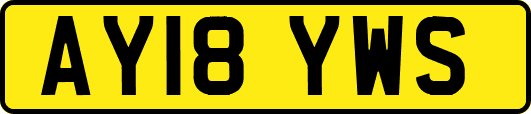 AY18YWS
