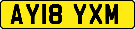 AY18YXM