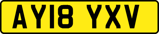 AY18YXV