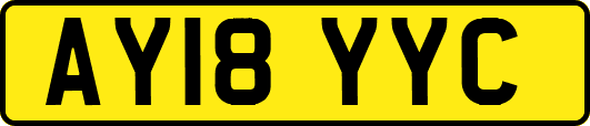 AY18YYC