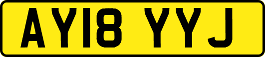 AY18YYJ