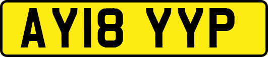 AY18YYP