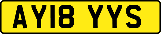 AY18YYS