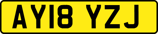 AY18YZJ