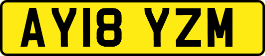 AY18YZM