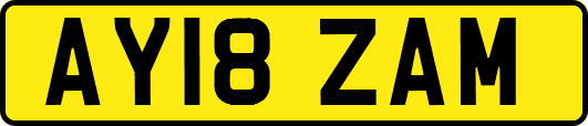 AY18ZAM