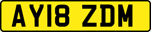 AY18ZDM