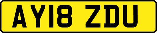 AY18ZDU