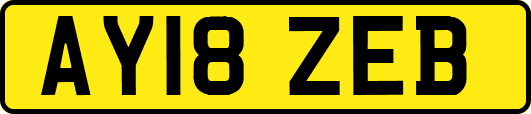 AY18ZEB