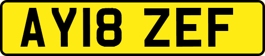AY18ZEF