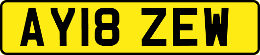 AY18ZEW
