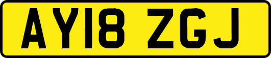 AY18ZGJ