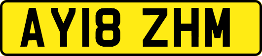 AY18ZHM