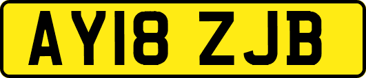 AY18ZJB