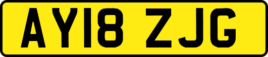 AY18ZJG