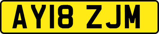 AY18ZJM
