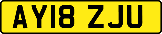 AY18ZJU