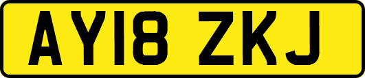 AY18ZKJ