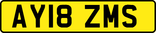 AY18ZMS
