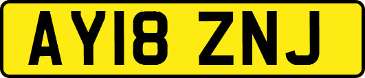 AY18ZNJ