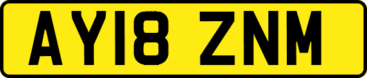 AY18ZNM