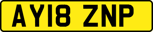 AY18ZNP
