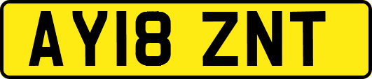 AY18ZNT