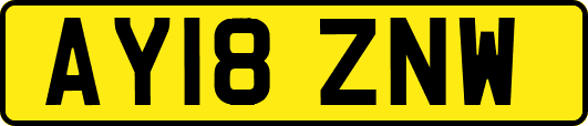 AY18ZNW