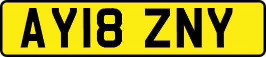 AY18ZNY