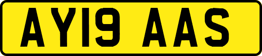 AY19AAS