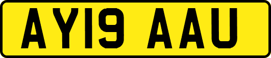 AY19AAU