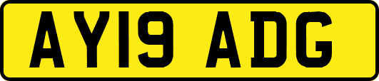 AY19ADG