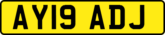 AY19ADJ