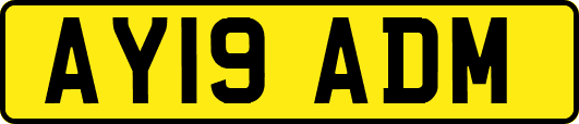 AY19ADM