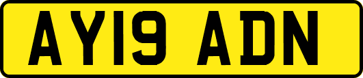 AY19ADN