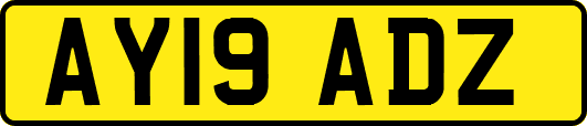 AY19ADZ