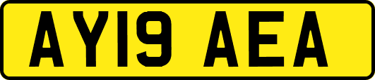 AY19AEA