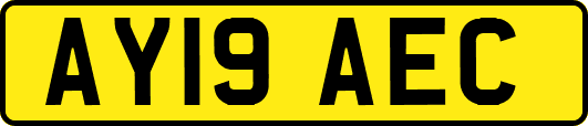 AY19AEC