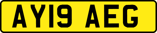 AY19AEG