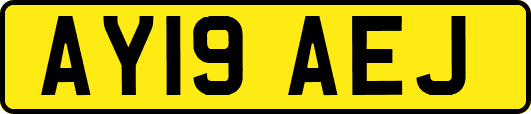 AY19AEJ