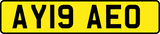 AY19AEO