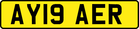 AY19AER