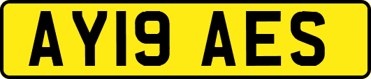 AY19AES