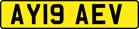 AY19AEV