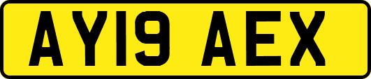 AY19AEX
